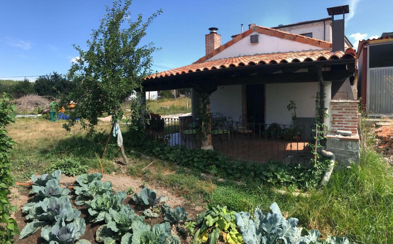 Casa De Pueblo Con Merendero Alquilable Opcionalmente Casarejos Eksteriør bilde
